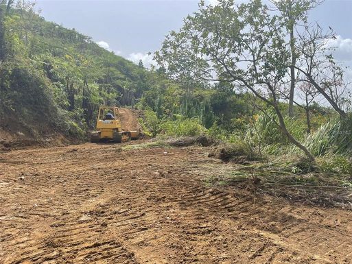 KM 2.2 PALMARITO WARD, ROAD 800