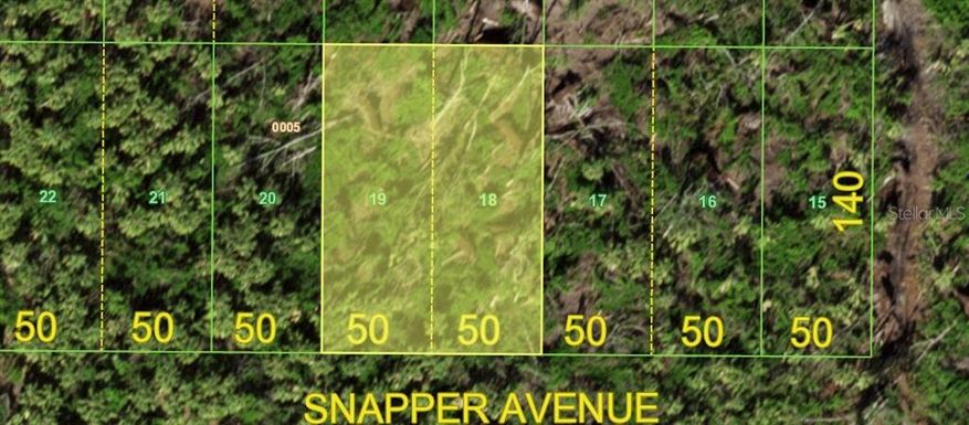 SNAPPER AVE
