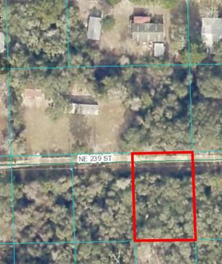 15380 NE 239TH STREET Lot 25