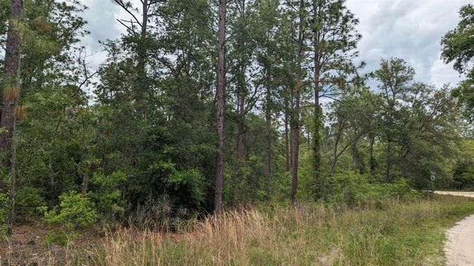 0 SW 131ST CIR LOT 10