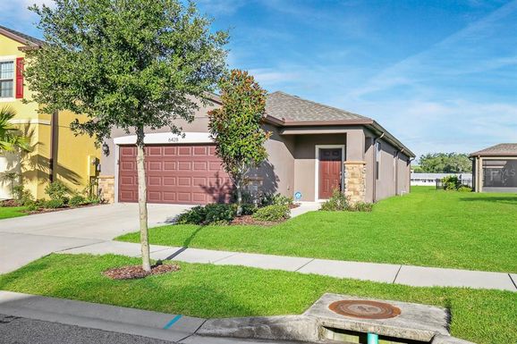 6428 YELLOW BUCKEYE DRIVE