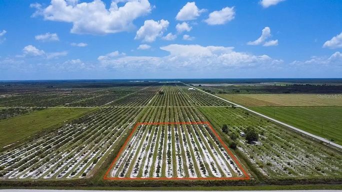 22-P15AB NEAL/GRAHAM RD