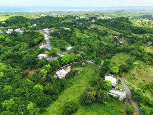 Carr 412 Int. CARR 412