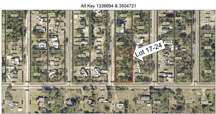 Lot 17-24 PALMETTO STREET