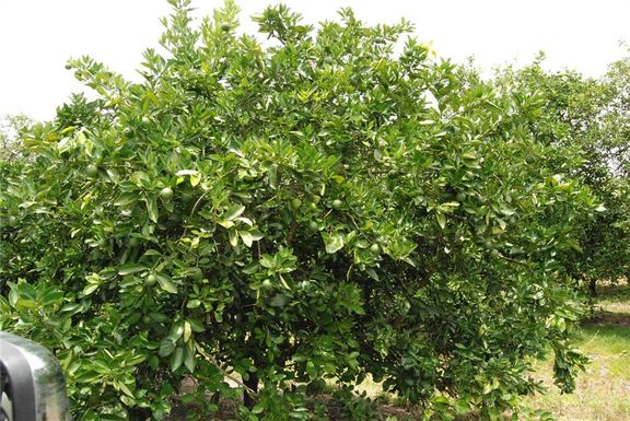 12010 NE HIGHWAY 70 UNIT 3-26-41