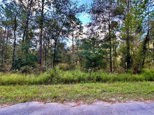 LOT 16 NW SUMMERFIELD AVENUE