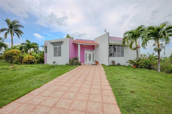 445 SECTOR FELO RUIZ, BO. SALTOS