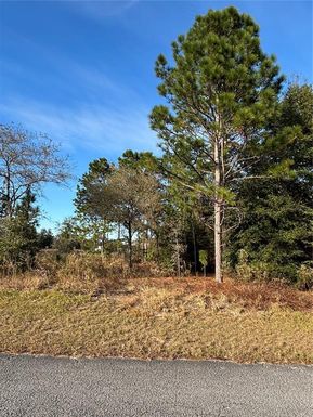 Lot 18 SW 65TH LOOP