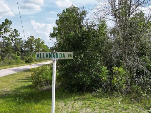 617 ALLAMANDA DRIVE