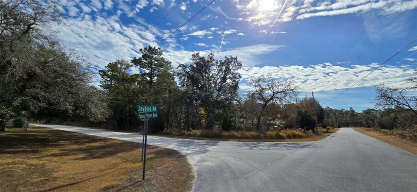 0 PIPING PLOVER AVENUE