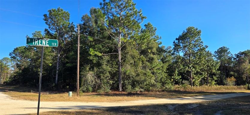 8359 N IRENE TERRACE