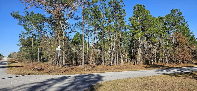 Lot 10 SW MINEOLA LANE