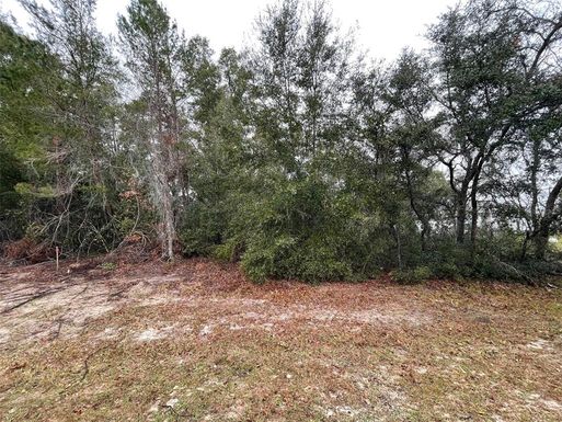 Lot 3 MARION OAKS LANE