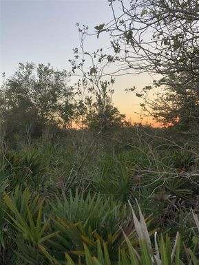 1111 PORTULACA DRIVE