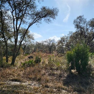 11106 SEATTLE WREN AVENUE