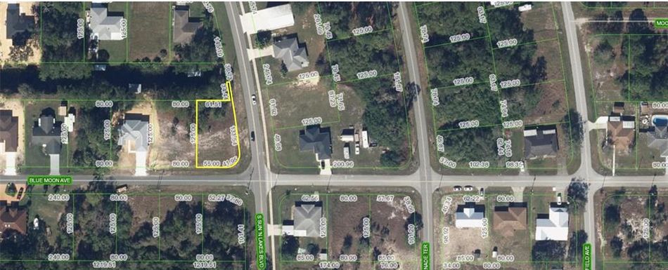 101 BLUE MOON AVENUE