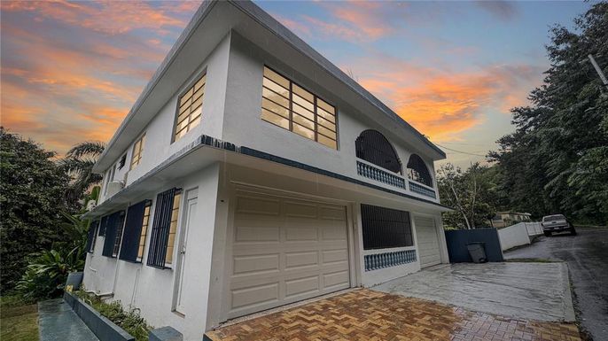 . PR-829 KM 1.1, BUENA VISTA WARD