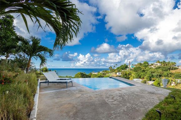 626 BRAVOS DE BOSTON