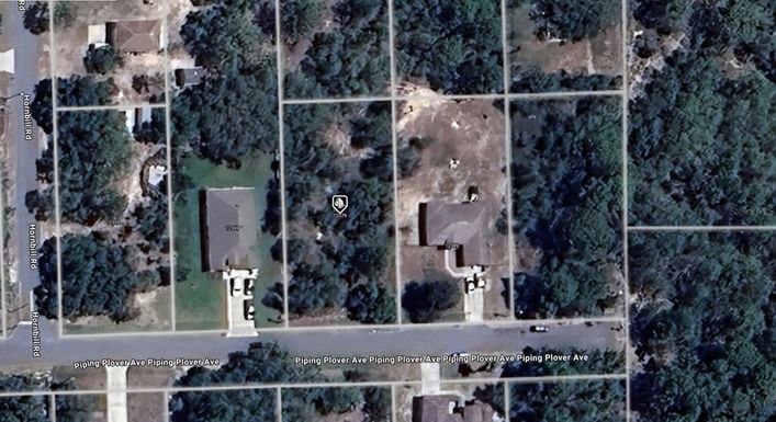12379 PIPING PLOVER AVENUE