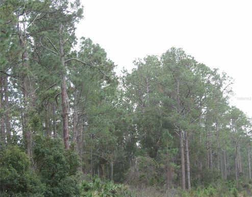 DELAND, FL 32724