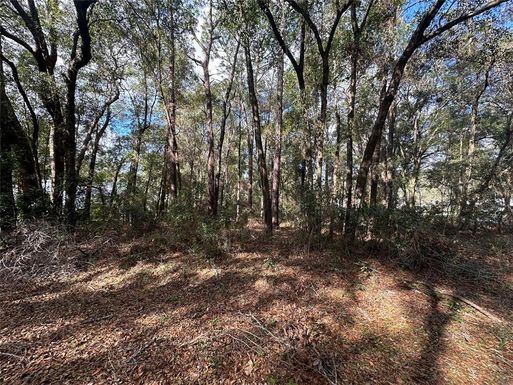 0000 SW 189TH CT. DUNNELLON FL