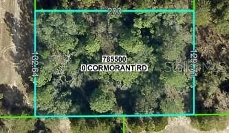 13408 CORMORANT ROAD