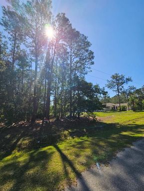 0 FLORIDA GRACKLE COURT