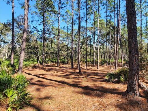 16442 HARDEMAN JUNCTION