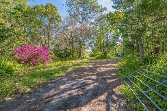 531 HARNEY HEIGHTS ROAD