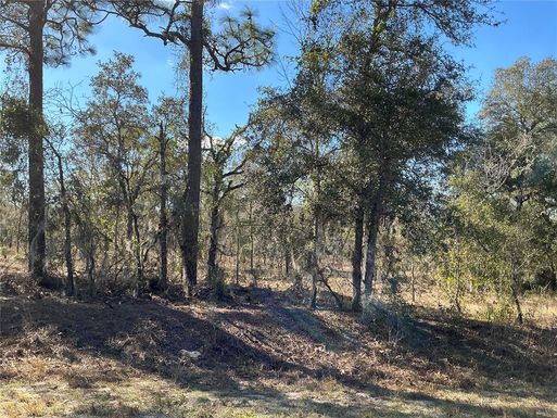 lot 8 SW VIBURNUM ROAD