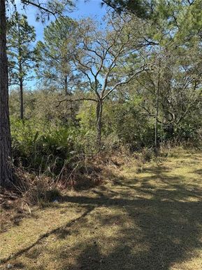 30700 KUMQUAT AVENUE