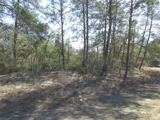 4381 W MALALUKA CIRCLE