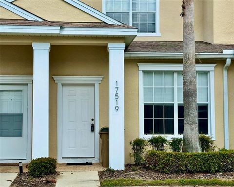 17519 BLESSING DRIVE