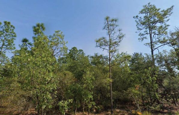 4119 W FIREWOOD LOOP