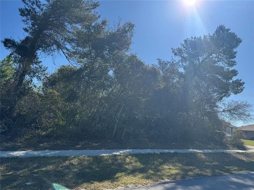 1327 CATALINA BOULEVARD