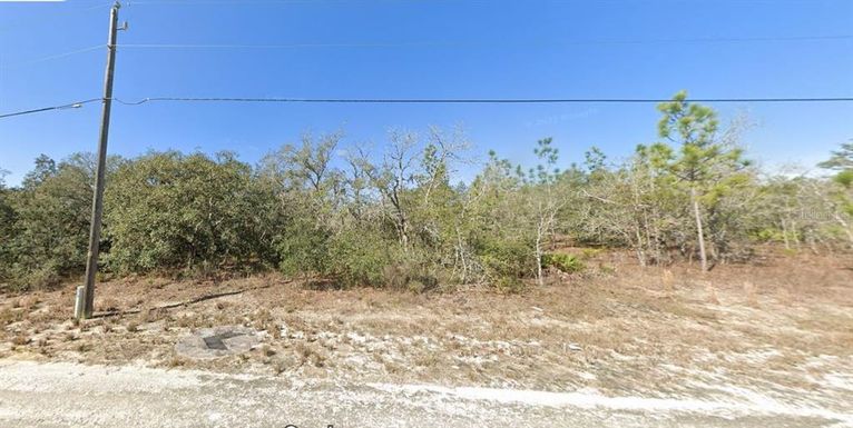 15095 SNOWY OWL AVENUE