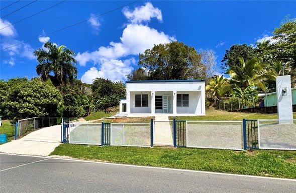 PR-445 KM HM 5.3 BO SALTOS