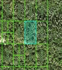 INACCESSIBLE TRACT