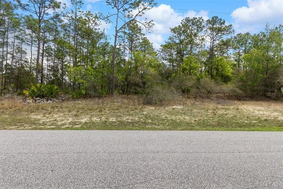 5713 N BUFFALO DRIVE