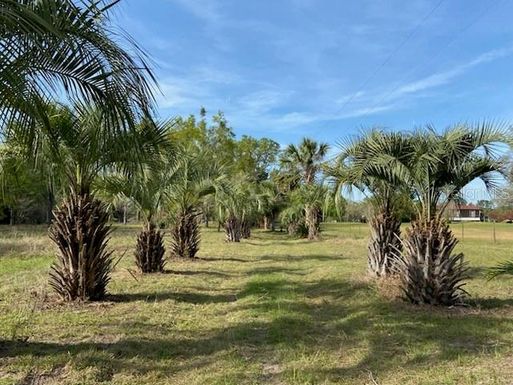 23206 NW 102 ND AVENUE