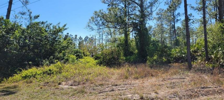 1211 WELLINGTON AVENUE