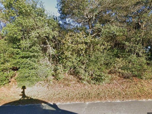 215 BUENA VISTA STREET