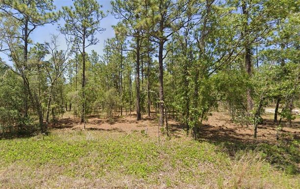 00 NW AMBERJACK AVENUE