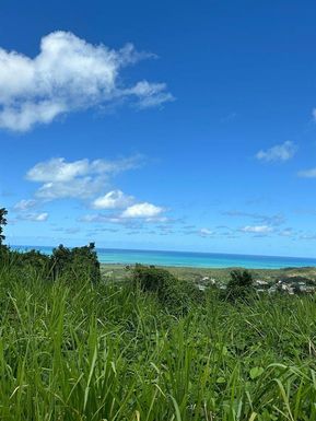 PR 984 Km 1.5 Int. JUANMARTIN WARD