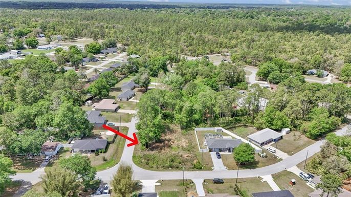 36 REDWOOD TRACK RUN