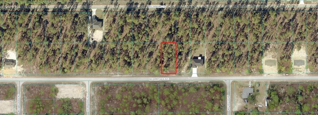 00 NW AMBERJACK AVENUE