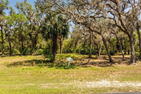 3117 BRIGHT LAKE CIRCLE lot 63