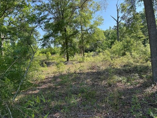 Lot 19 208TH STREET