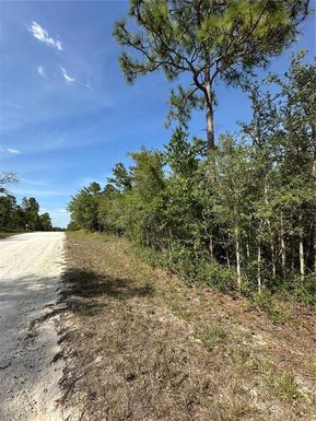14106 EASTERN PHOEBE ROAD