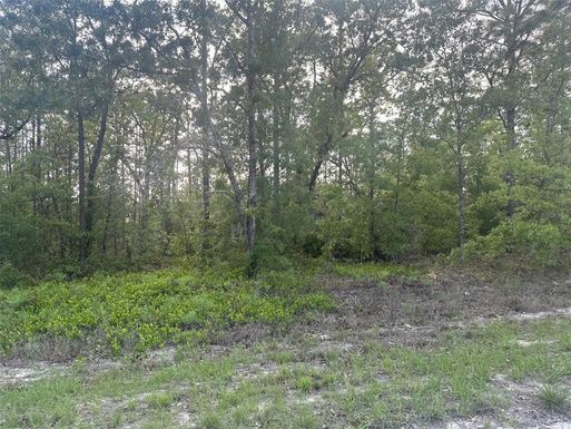 Lot 19 CAYMAN ROAD